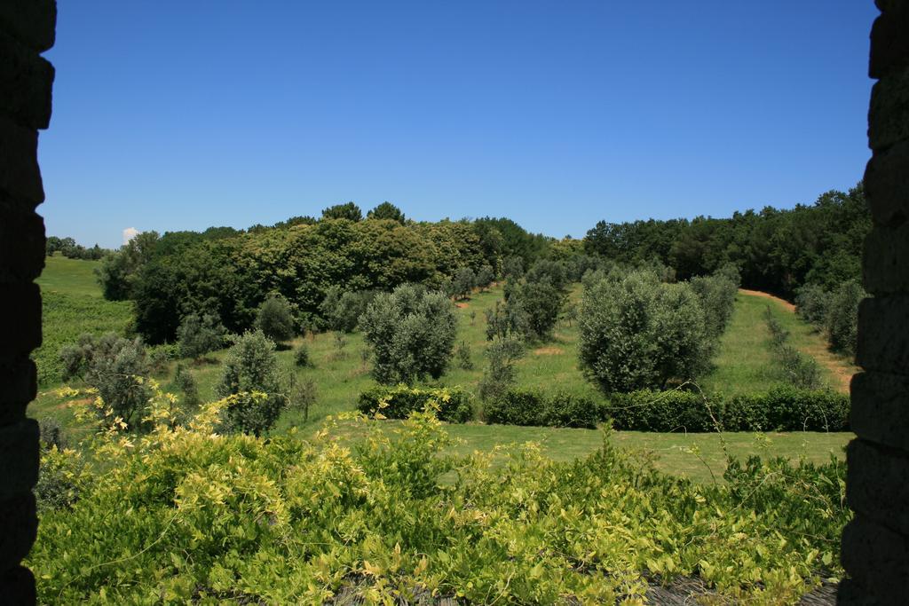Tenuta Di Monaciano 폰테 아 보조네 객실 사진
