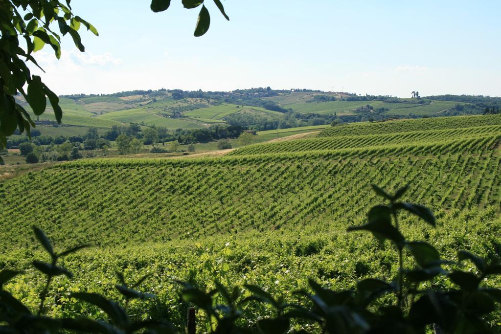 Tenuta Di Monaciano 폰테 아 보조네 외부 사진